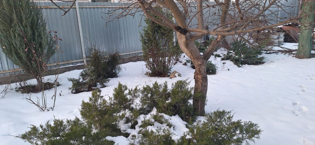 Продажа дома, 41м <sup>2</sup>, 7 сот., Тула, 6-й проезд Мясново,  12