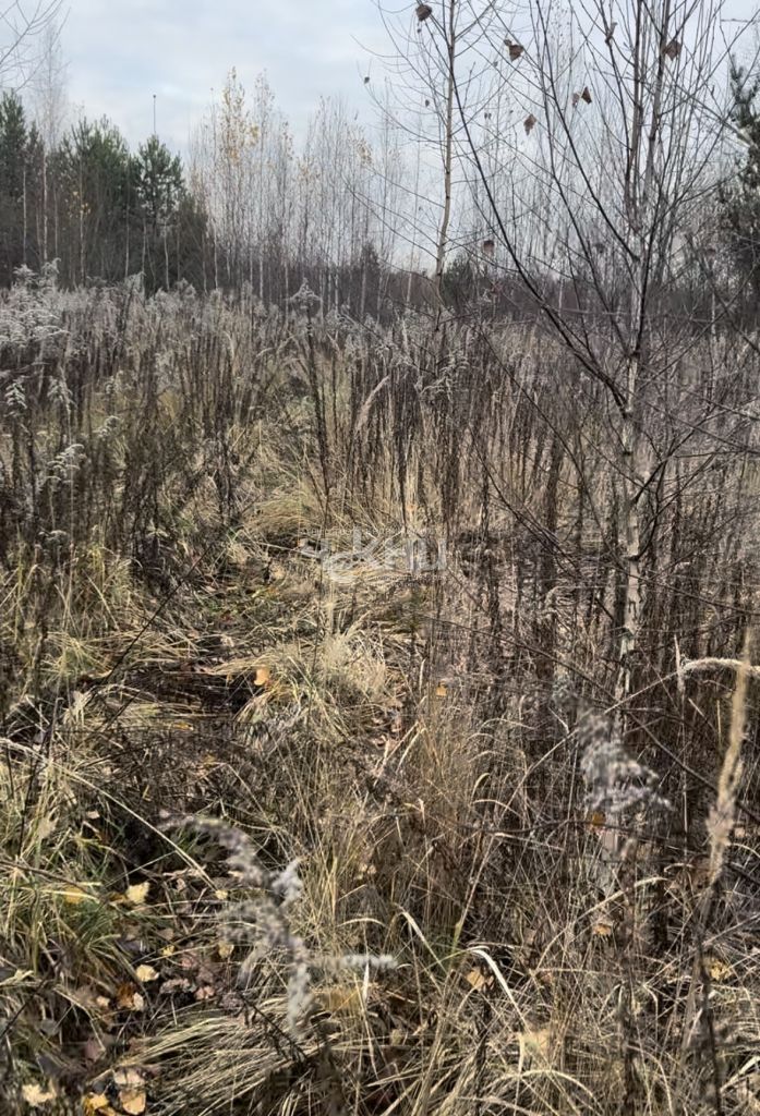 Продажа участка, Безводное