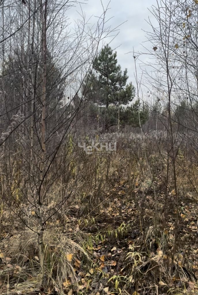 Продажа участка, Безводное