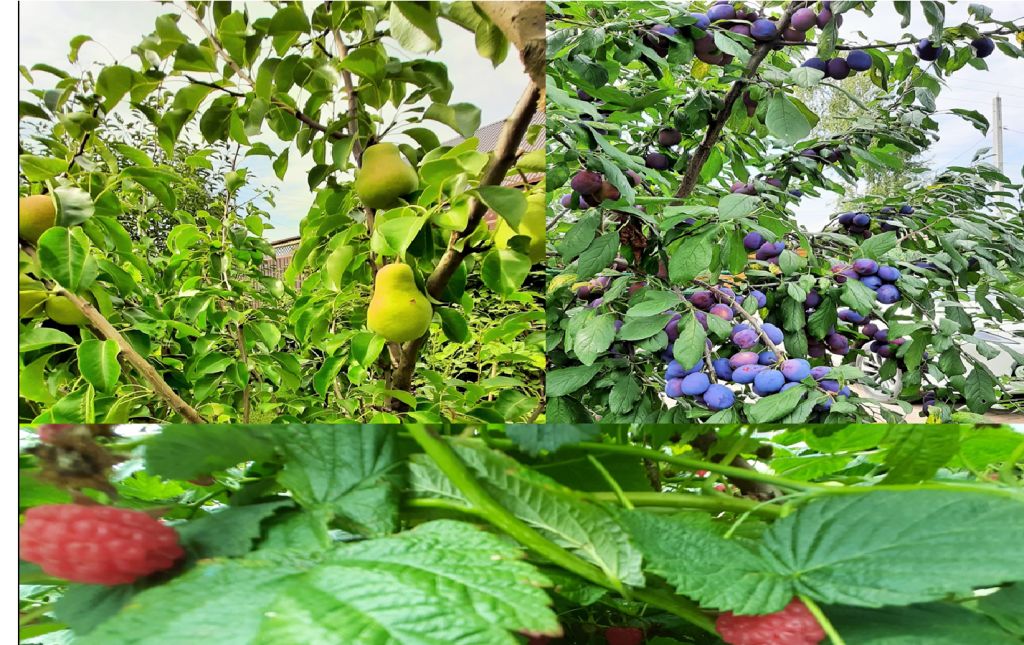 Продажа дома, 120м <sup>2</sup>, 8 сот., Нижний Новгород, Тростниковая ул,  20а