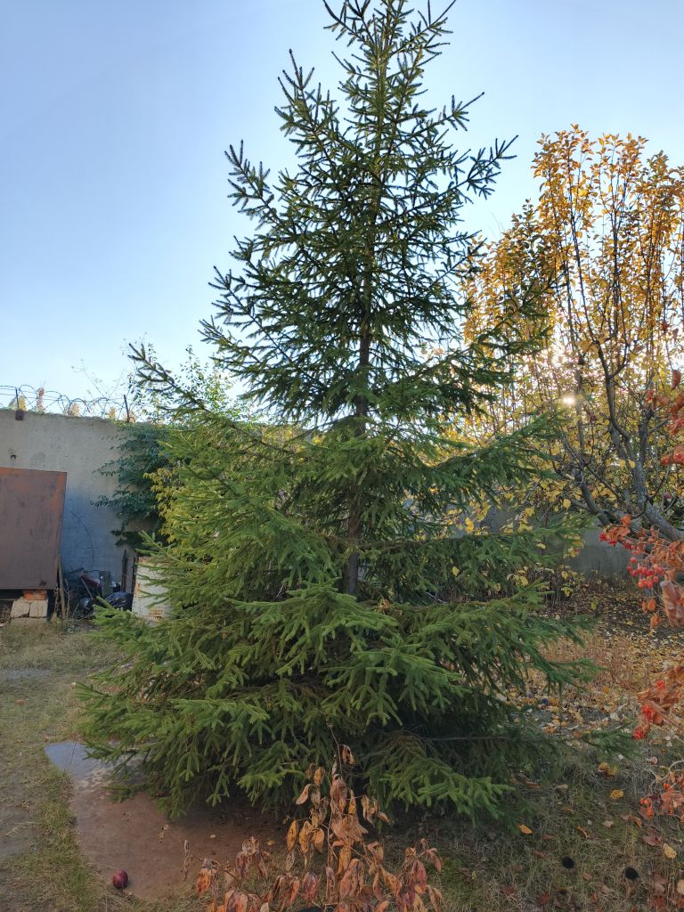 Продажа дома, 88м <sup>2</sup>, 11 сот., Саратов, Взлётная ул,  1