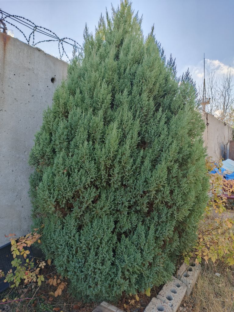 Продажа дома, 88м <sup>2</sup>, 11 сот., Саратов, Взлётная ул,  1