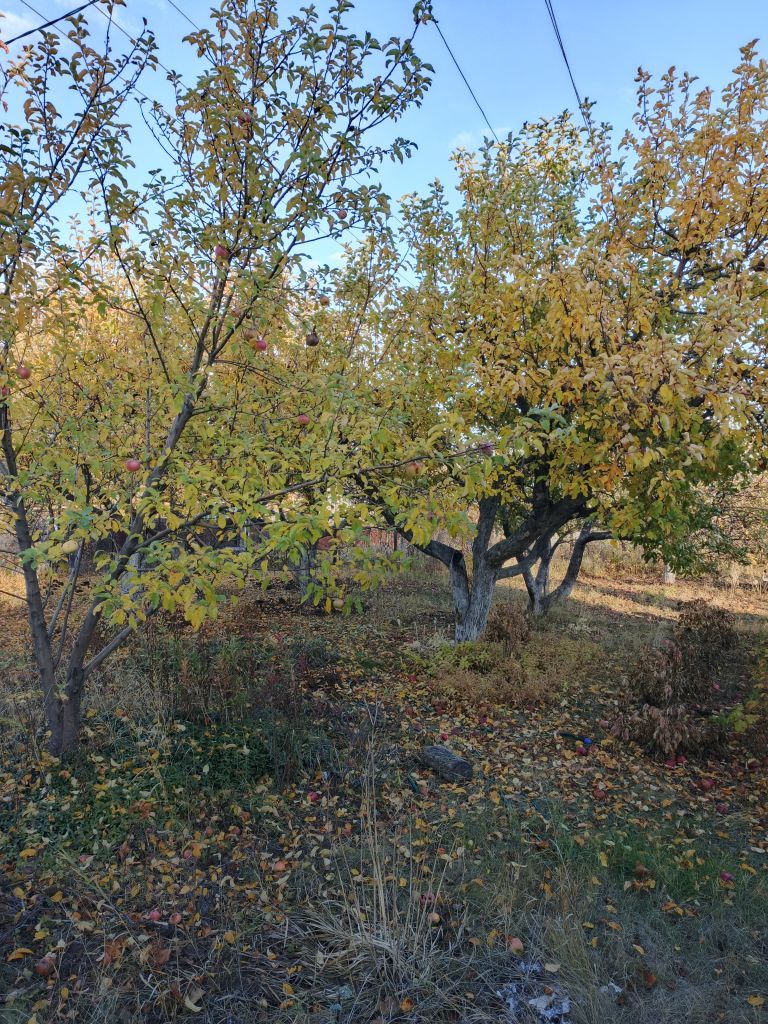 Продажа дома, 88м <sup>2</sup>, 11 сот., Саратов, Взлётная ул,  1