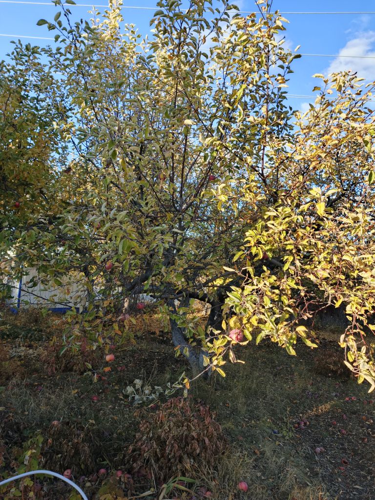 Продажа дома, 88м <sup>2</sup>, 11 сот., Саратов, Взлётная ул,  1