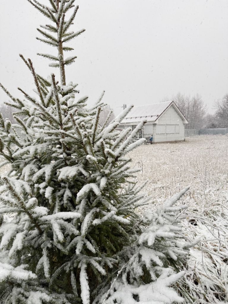 Продажа дома, 92м <sup>2</sup>, 20 сот., Шарголи, рязанская