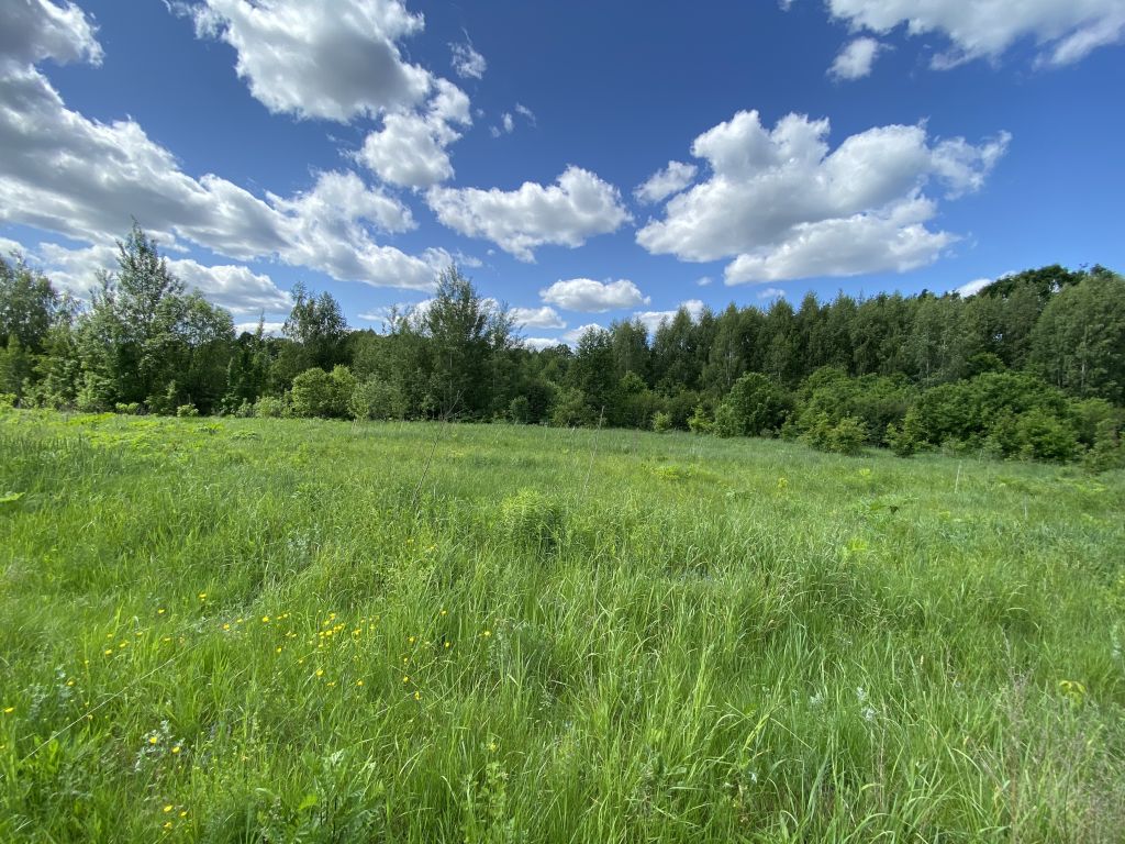 Продажа участка, Липовки