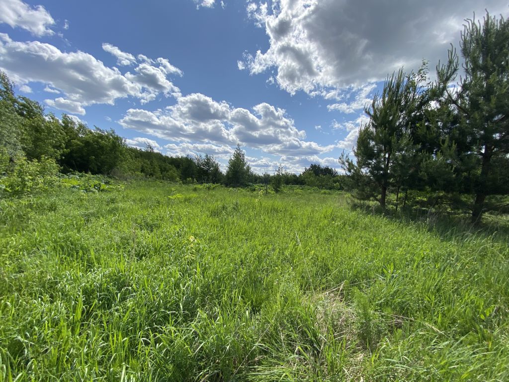 Продажа участка, Липовки