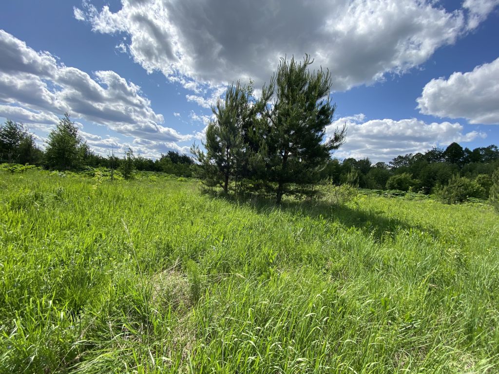 Продажа участка, Липовки