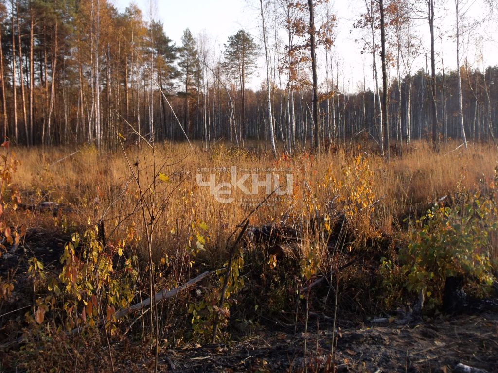 Продажа участка, Безводное