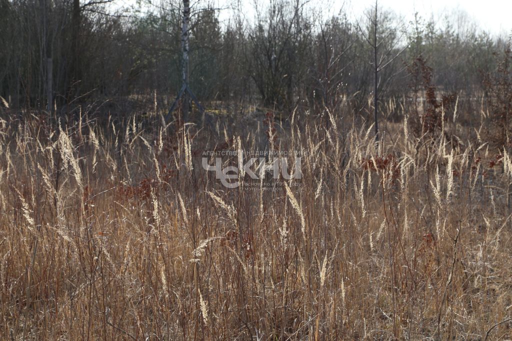 Продажа участка, Безводное