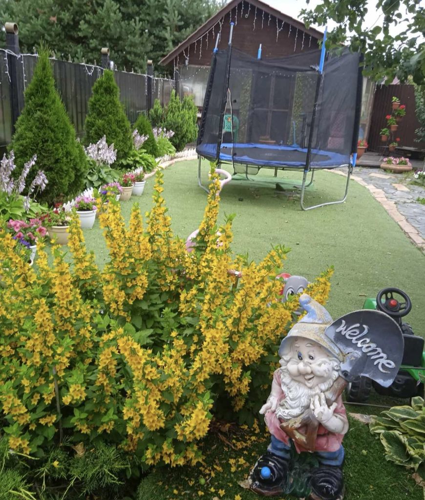 Продажа дома, 155м <sup>2</sup>, 5 сот., Шуя, Пушкинский 6-й пер