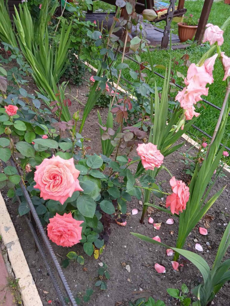 Продажа дома, 155м <sup>2</sup>, 5 сот., Шуя, Пушкинский 6-й пер