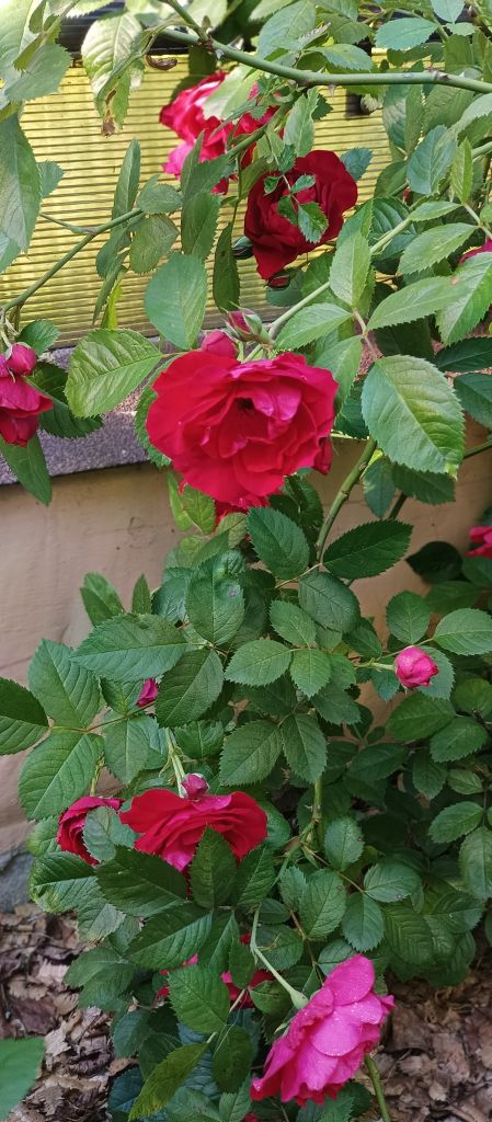 Продажа дома, 155м <sup>2</sup>, 5 сот., Шуя, Пушкинский 6-й пер