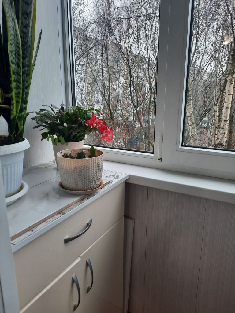 Аренда комнаты, 14м <sup>2</sup>, Нижний Новгород, Героя Усилова ул,  2