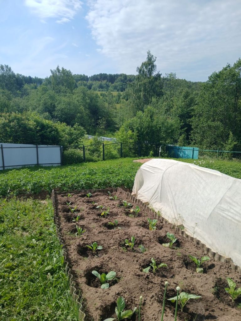 Продажа дома, 80м <sup>2</sup>, 12 сот., Каменка, Солнечная