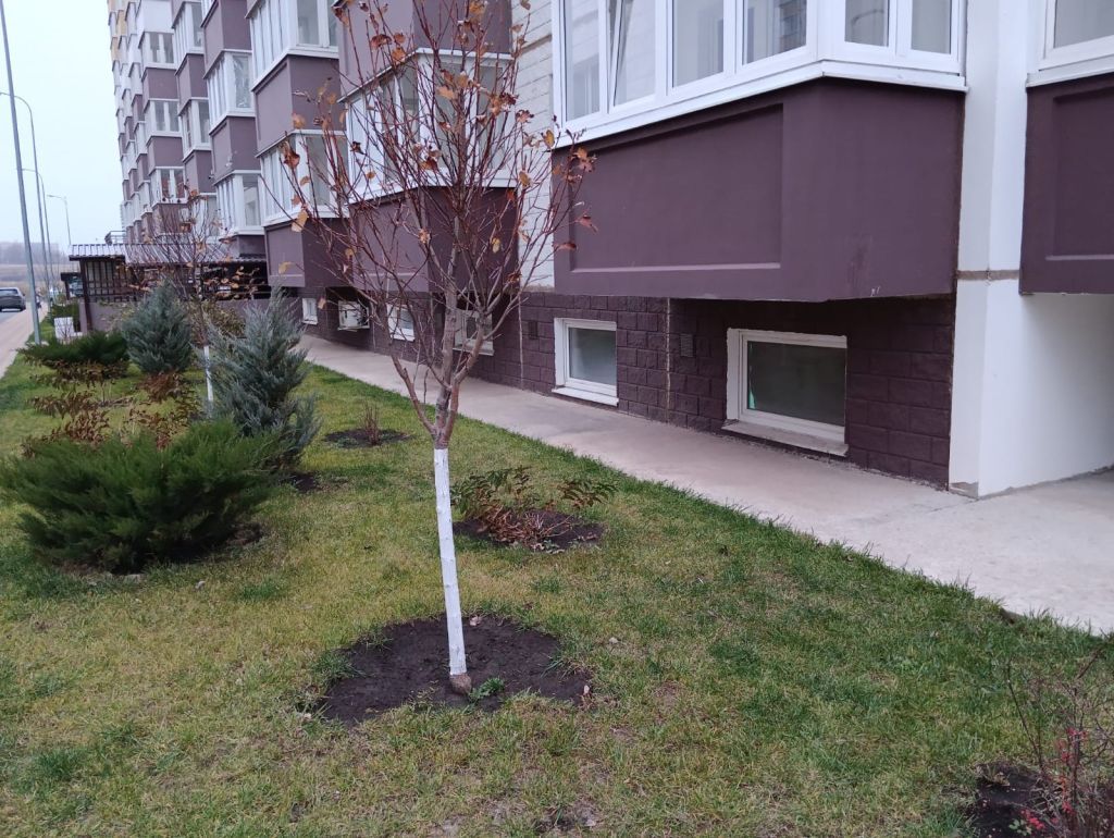 Аренда 1-комнатной квартиры, Ростов-на-Дону, Висаитова ул,  10/9