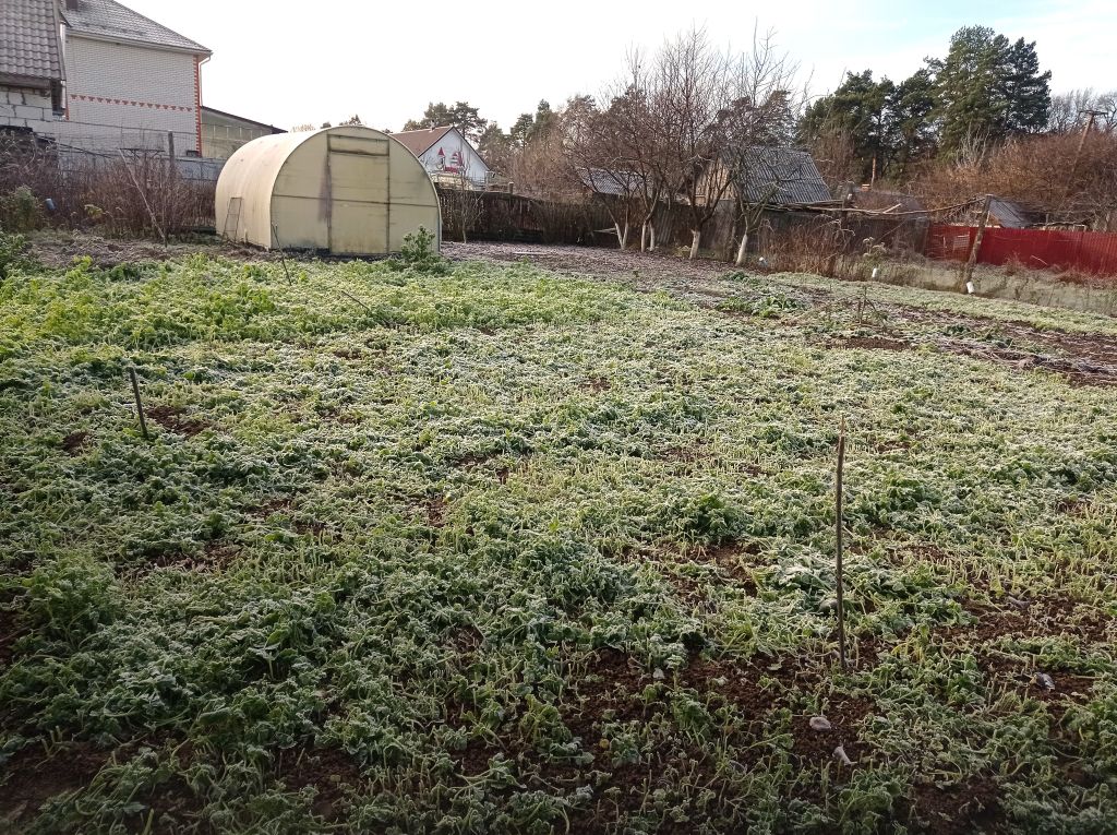 Предложение: участок