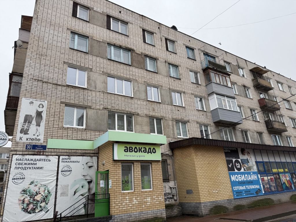 Продажа 1-комнатной квартиры, Заволжье, Пушкина ул,  30