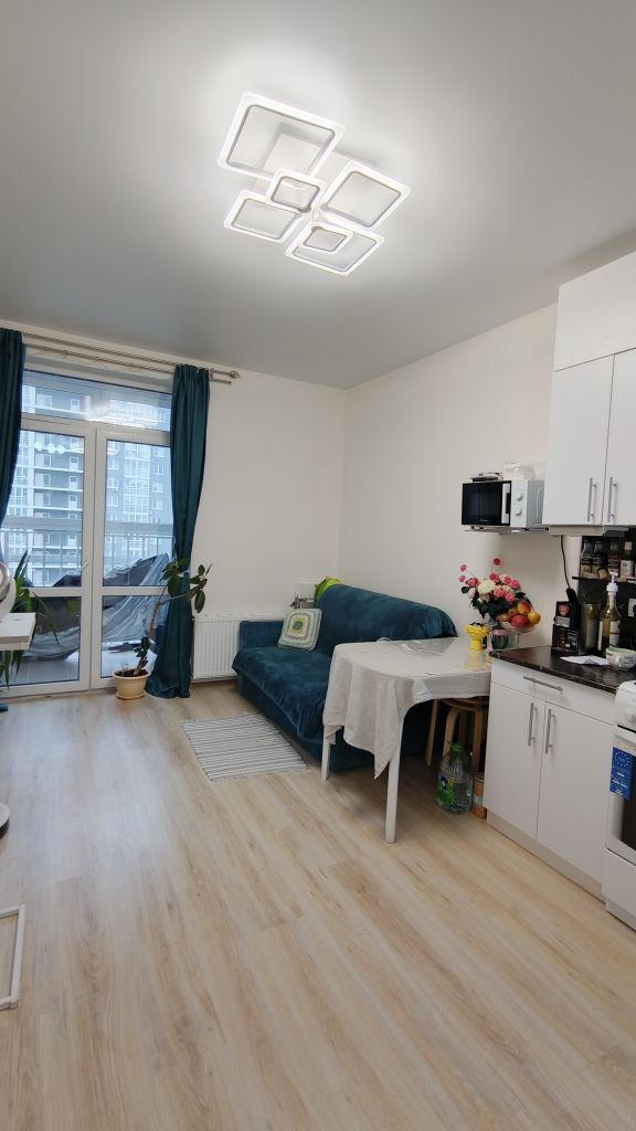 Продажа 1-комнатной квартиры, Анкудиновка, Русская ул,  16