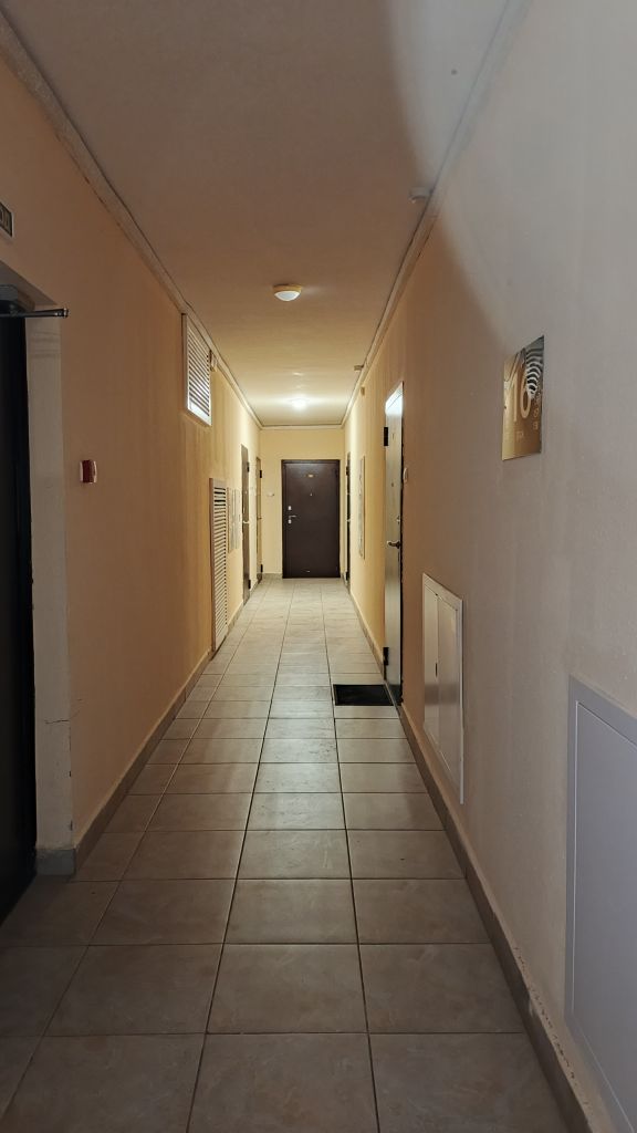 Продажа 1-комнатной квартиры, Анкудиновка, Русская ул,  16