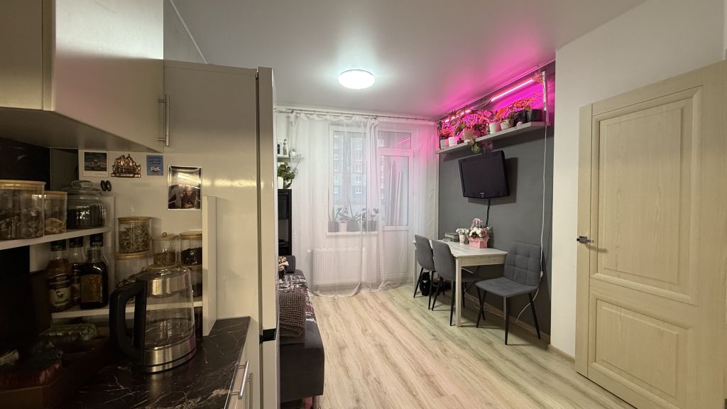 Продажа 1-комнатной квартиры, Анкудиновка, Русская ул,  9