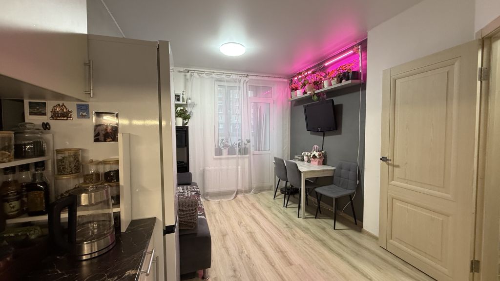 Продажа 1-комнатной квартиры, Анкудиновка, Русская ул,  9