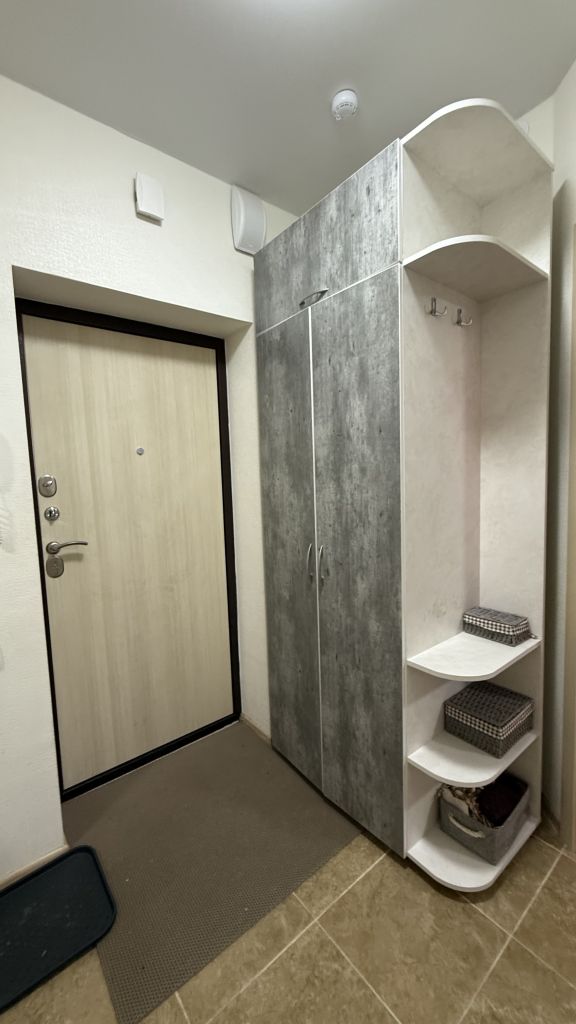 Продажа 1-комнатной квартиры, Анкудиновка, Русская ул,  9