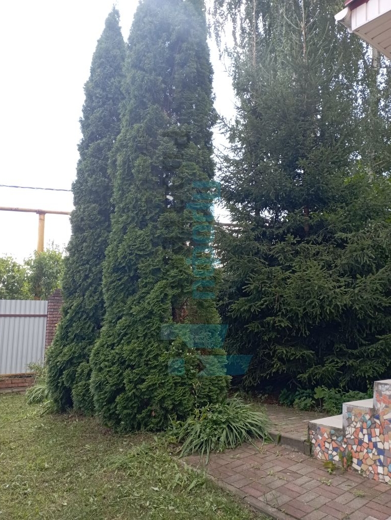 Продажа дома, 220м <sup>2</sup>, 10 сот., Новинки, Новая ул