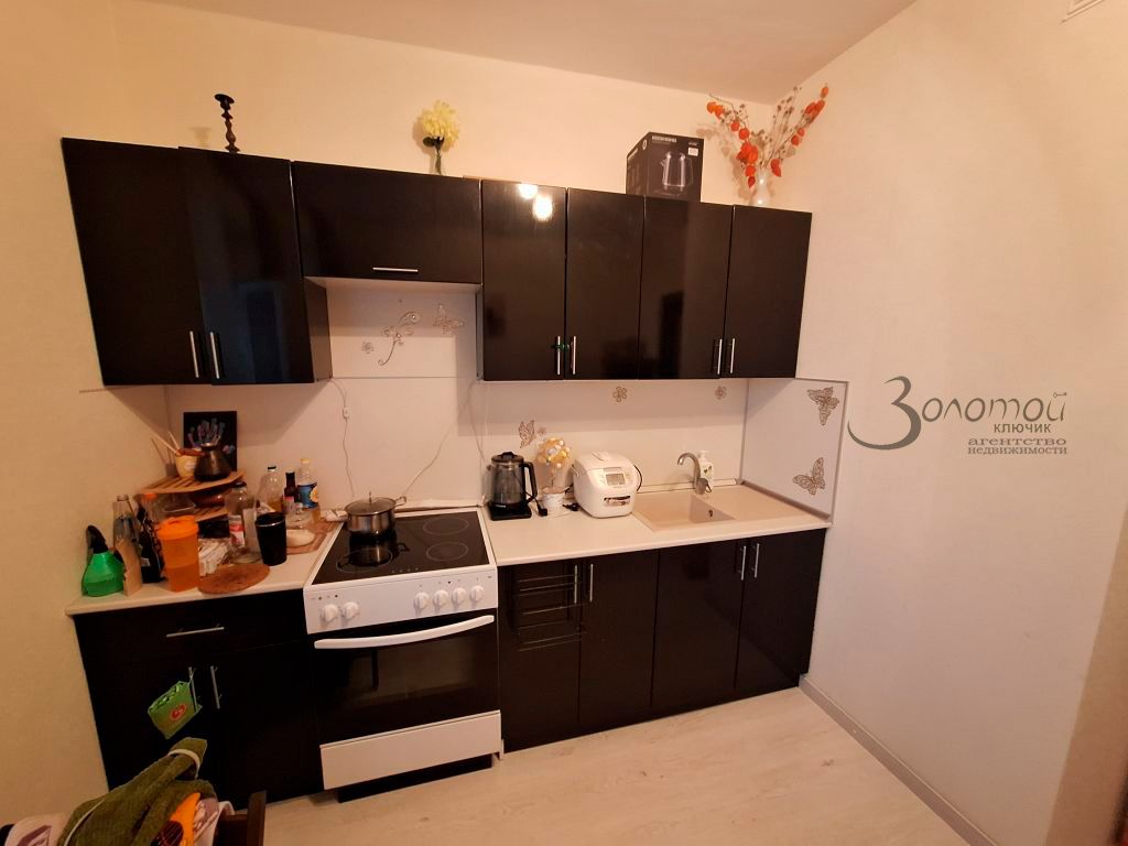 Продажа 1-комнатной квартиры, Анкудиновка, Русская ул,  1