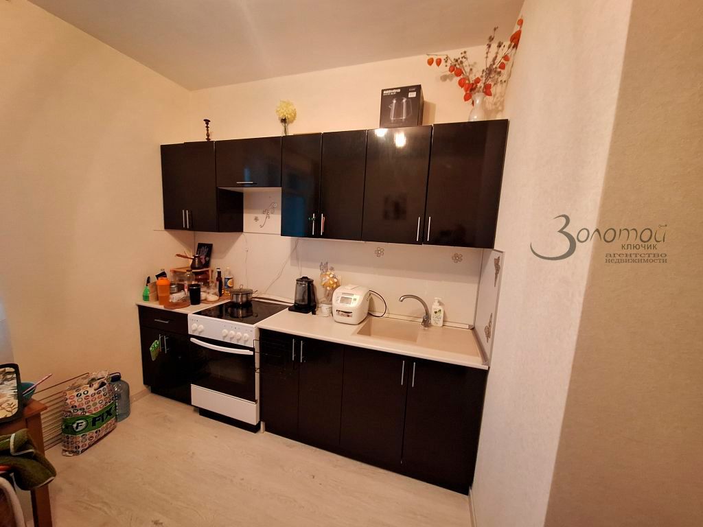 Продажа 1-комнатной квартиры, Анкудиновка, Русская ул,  1