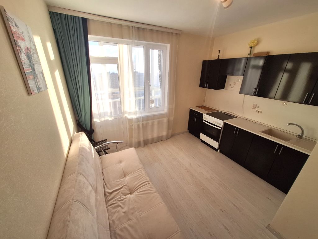 Продажа 1-комнатной квартиры, Анкудиновка, Русская ул,  1