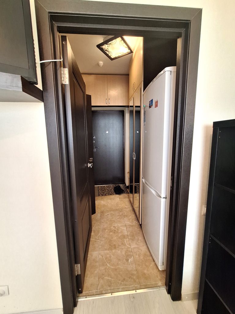 Продажа 1-комнатной квартиры, Анкудиновка, Русская ул,  1