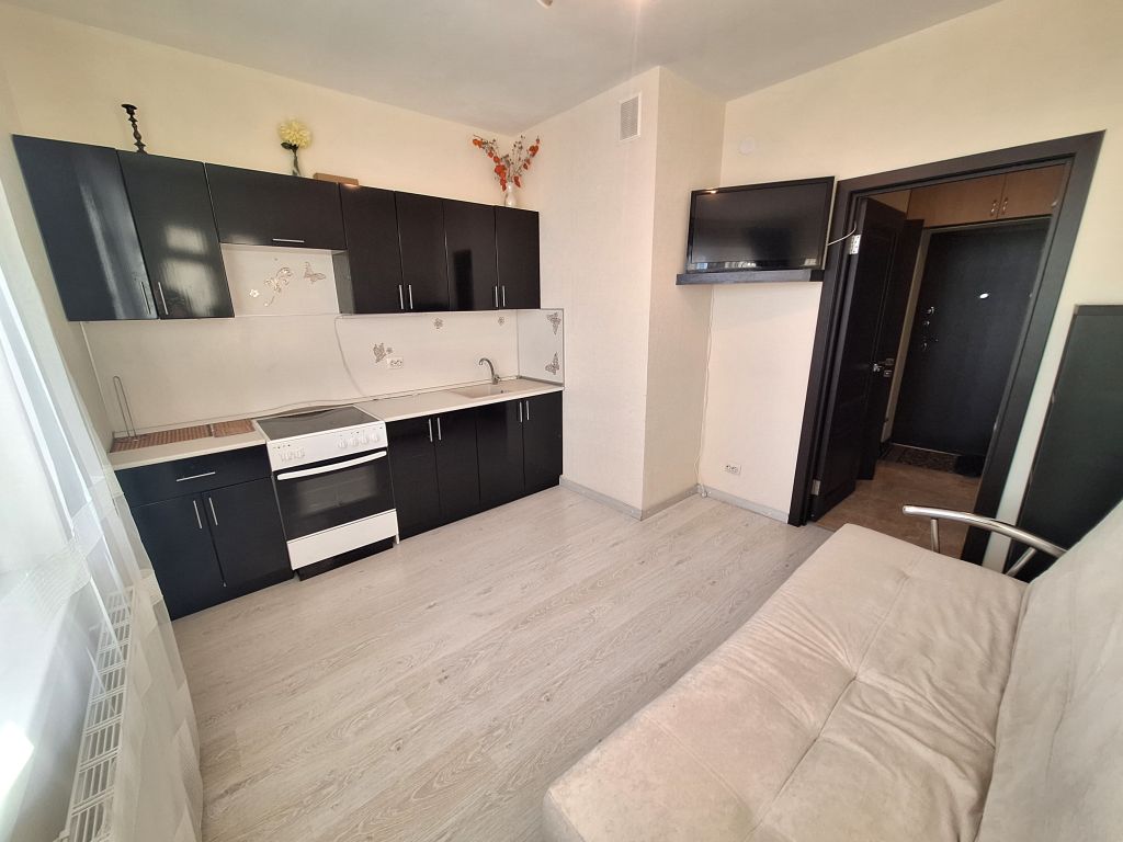 Продажа 1-комнатной квартиры, Анкудиновка, Русская ул,  1