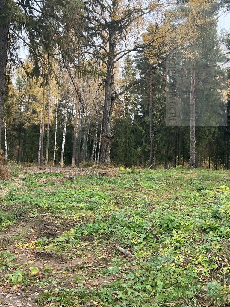 Продажа участка, Малинки, Ясная поляна