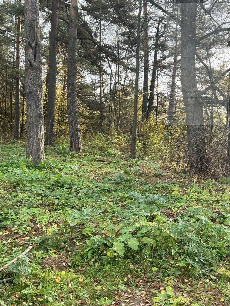 Продажа участка, Малинки, Ясная поляна