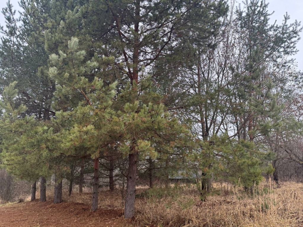 Продажа дома, 200м <sup>2</sup>, 8 сот., Польки, Шлюзовая