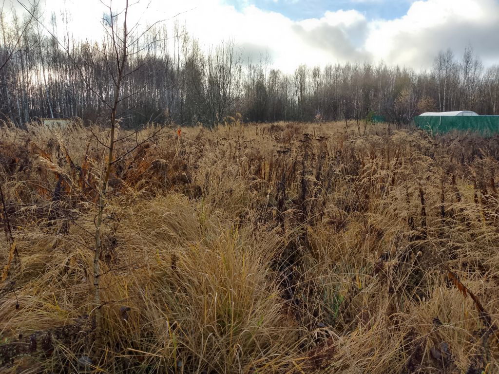 Продажа участка, Нижегородская