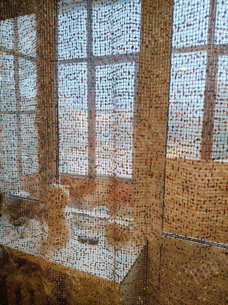 Продажа 1-комнатной квартиры, Тверь, Петербургское ш,  116