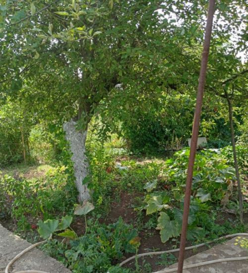 Продажа дачи, 30м <sup>2</sup>, 4 сот., Саратовская