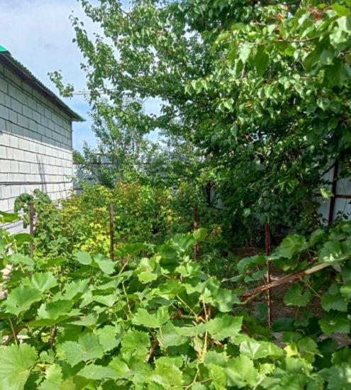 Продажа дачи, 30м <sup>2</sup>, 4 сот., Саратовская