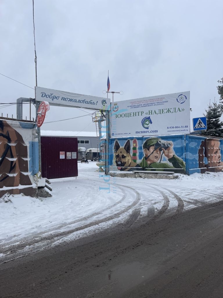 Продажа 1-комнатной квартиры, Нижний Новгород, Кольцевая ул,  34