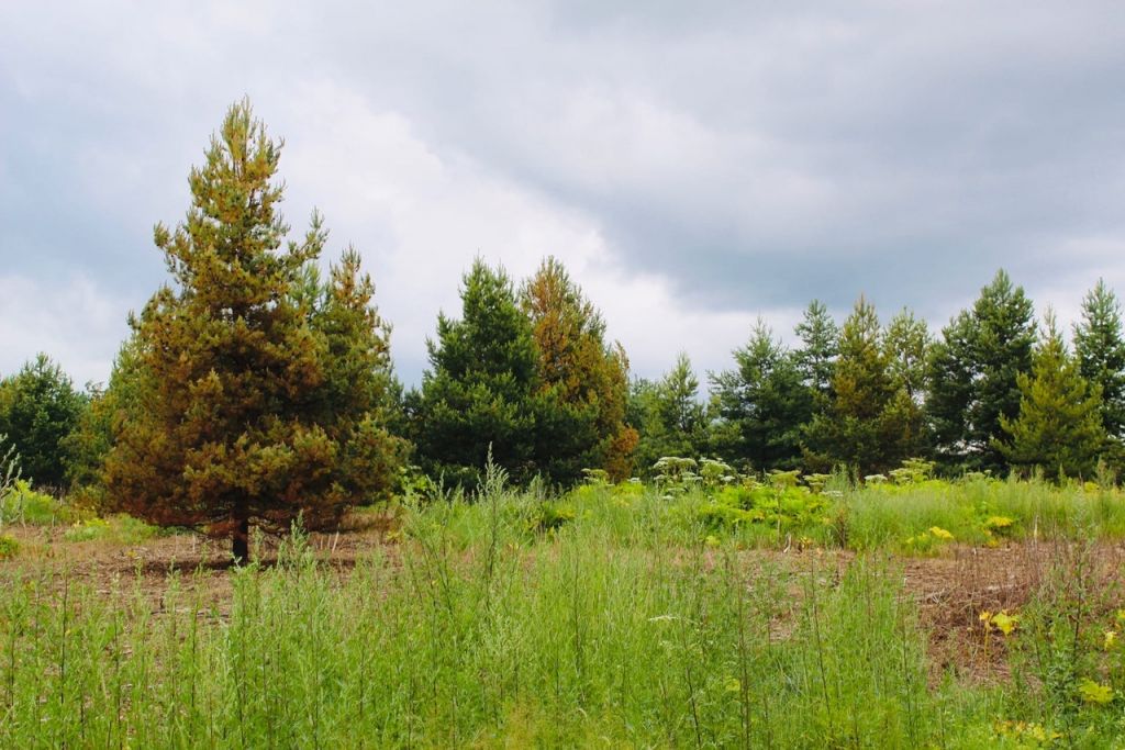 Продажа участка, Озеро