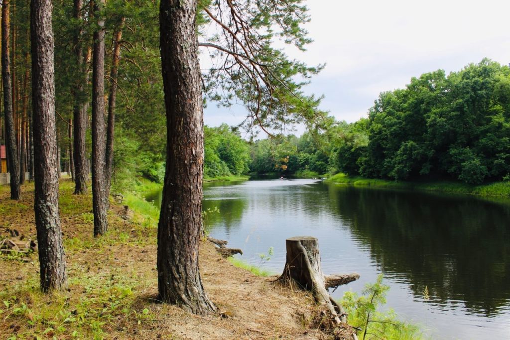 Продажа участка, Озеро