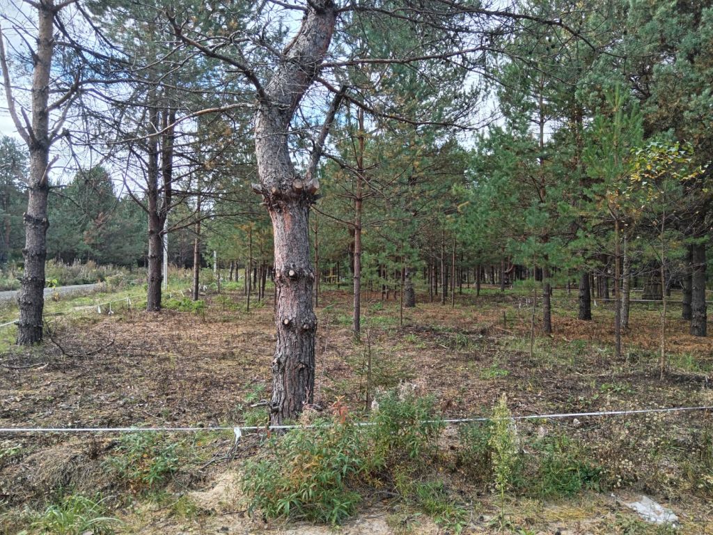 Продажа участка, Нижегородская