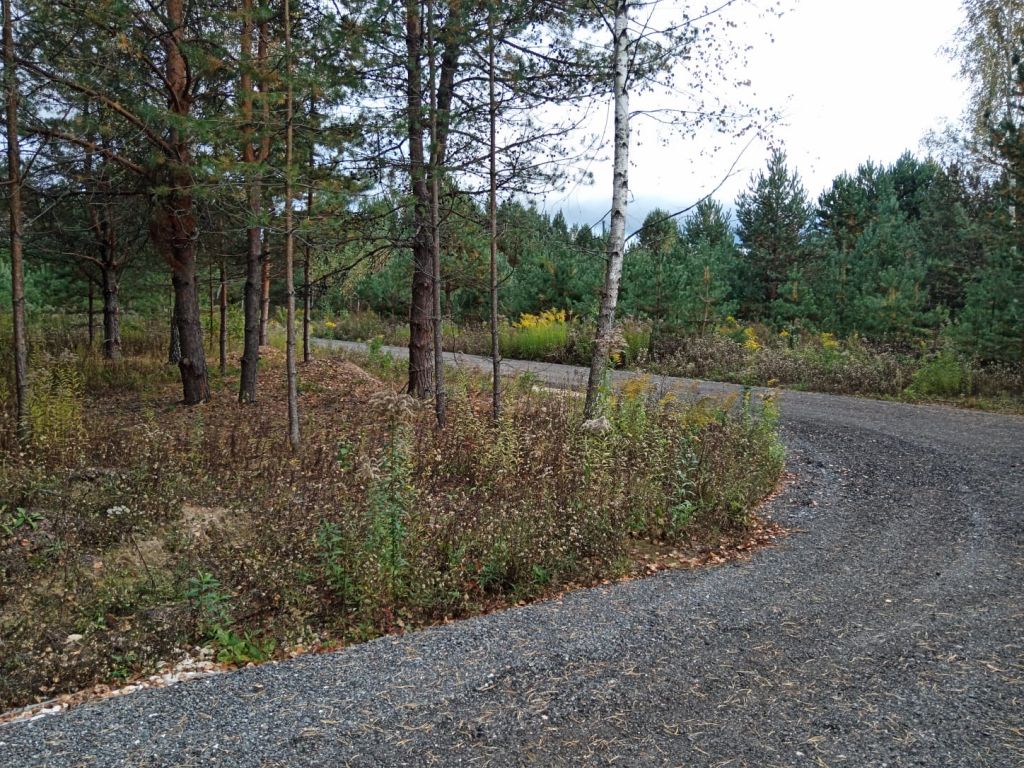 Продажа участка, Нижегородская