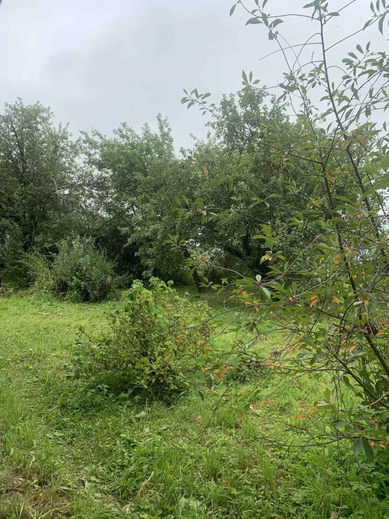 Продажа дома, 45м <sup>2</sup>, 10 сот., Подозерский, строителей ,  6