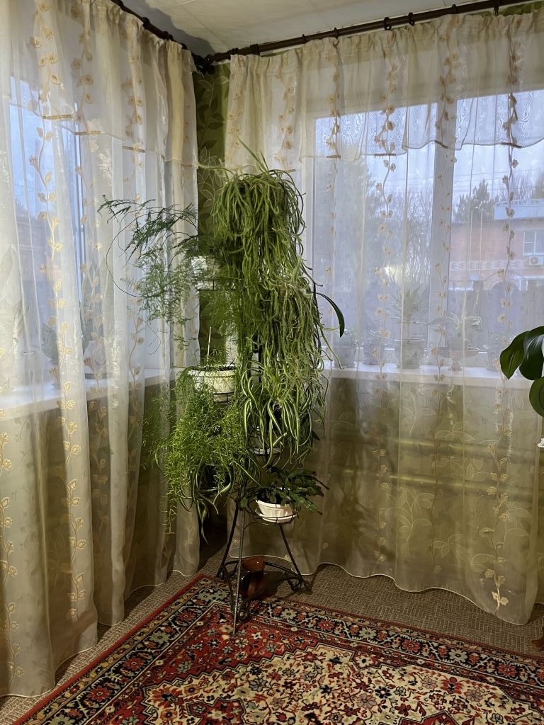 Продажа дома, 124м <sup>2</sup>, 8 сот., Кулешовка