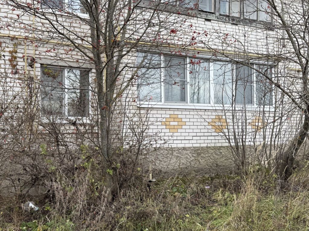 Продажа 1-комнатной квартиры, Федурино, Центральная,  3