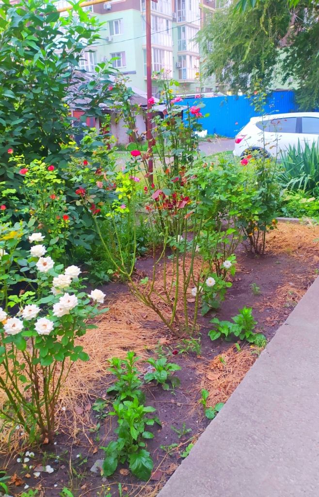 Продажа 1-комнатной квартиры, Батайск, Кирова ул,  4