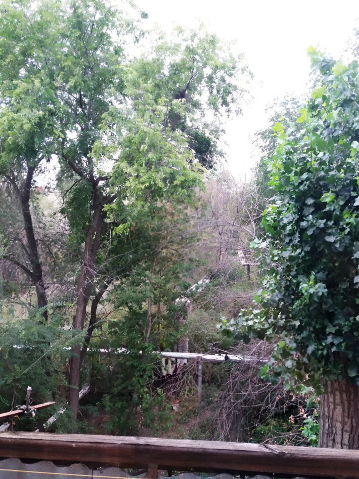 Продажа 1-комнатной квартиры, Саратов, Строителей пр-кт,  11